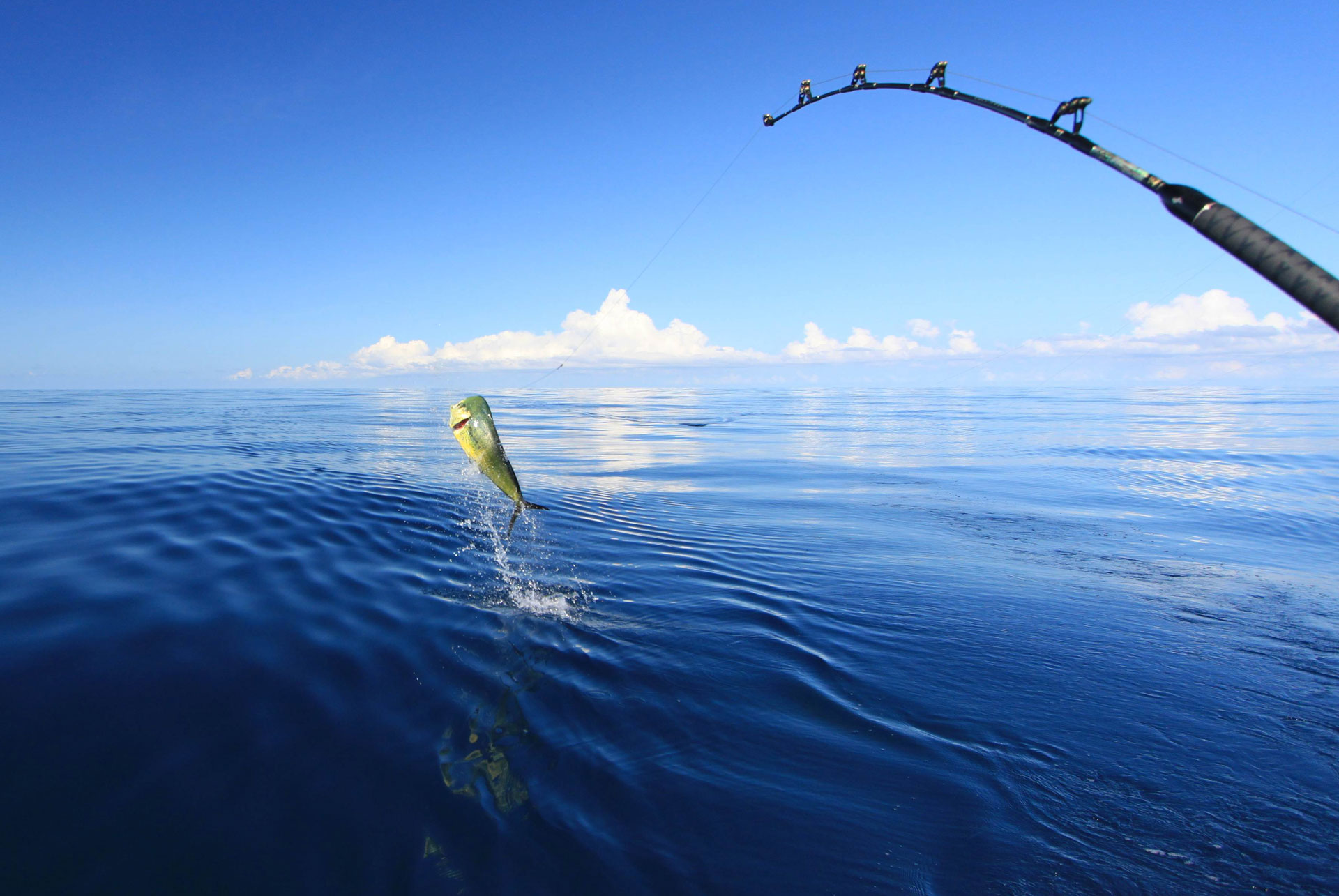 Deep Sea Fishing
